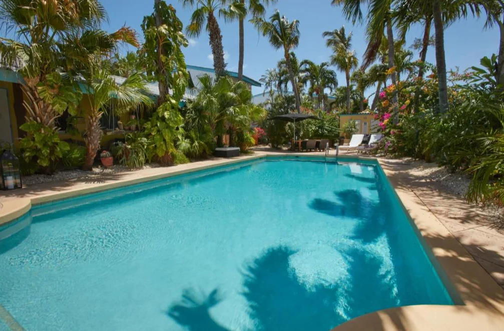 Paradera Park Aruba | zwembad